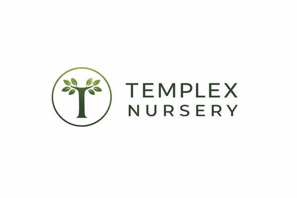 Templex Nursery
